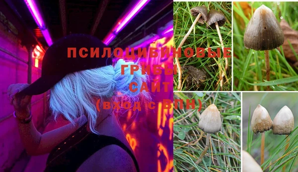 прущий лед Абаза