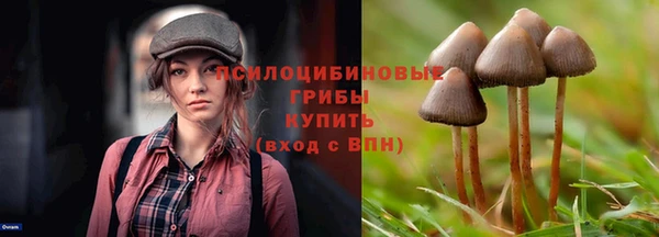 прущий лед Абаза