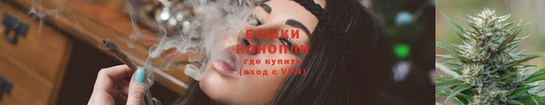 прущий лед Абаза